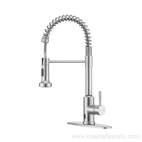 Industry Leader Delivery Fast Sus304 Kitchen Faucet